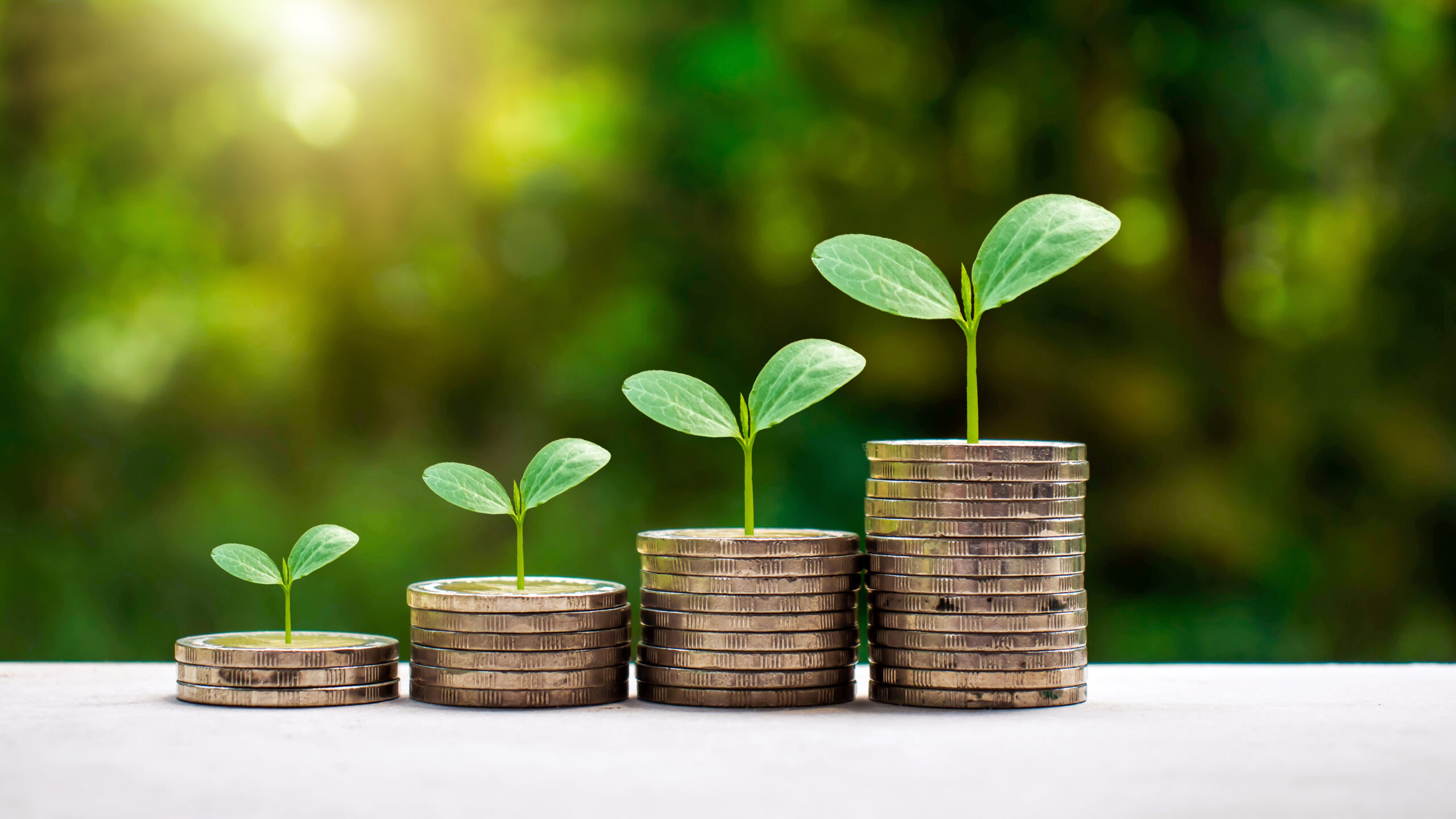 banque plus respectueuse de l’environnement